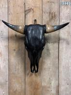 Mooie stoere Koe schedel, Ophalen of Verzenden, Nieuw, Overige soorten, Schedel