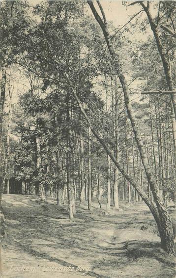(387-256-017) Lochem Lochemsche berg beschikbaar voor biedingen