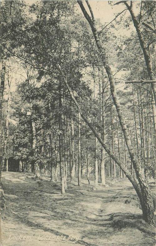 (387-256-017) Lochem Lochemsche berg, Verzamelen, Ansichtkaarten | Nederland, Gelderland, Verzenden