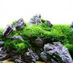 Decoratie steen , natuurlijke rotsen, eigen import uit Azië, Ophalen of Verzenden, Nieuw, Sierelement