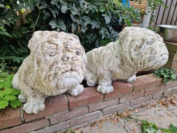 2 Unieke betonnen + kunststof Engelse buldog honden, buiten. beschikbaar voor biedingen