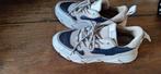 Steve Madden Sneakers Maat 38, Kleding | Dames, Schoenen, Beige, Steve Madden, Ophalen of Verzenden, Sneakers of Gympen