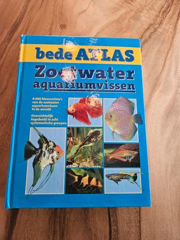 Bede Atlas aquariumvissen beschikbaar voor biedingen