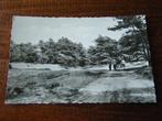 V35 - Drenthe - Zeegse - Bosweg - Mooi/Oud, Verzamelen, Ansichtkaarten | Nederland, Ophalen of Verzenden, 1940 tot 1960, Drenthe