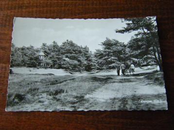 V35 - Drenthe - Zeegse - Bosweg - Mooi/Oud beschikbaar voor biedingen