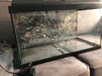 Aquarium, Dieren en Toebehoren, Vissen | Aquaria en Toebehoren, Ophalen, Gebruikt, Leeg aquarium