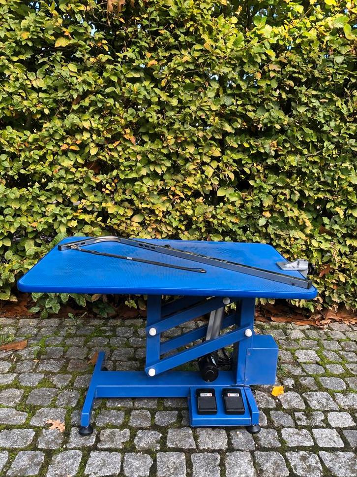 Trimtafel hond, electrisch verstelbaar, Labradoodle bijv, Dieren en Toebehoren, Overige Dieren-accessoires, Zo goed als nieuw