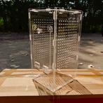 Nieuw terrarium voor bidsprinkhaan/springspin - 15 euro, Kunststof, Nieuw, Ophalen of Verzenden, Minder dan 150 cm