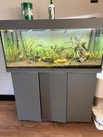 juwel rio 180 aqaurium, Dieren en Toebehoren, Vissen | Aquaria en Toebehoren, Ophalen, Zo goed als nieuw, Gevuld zoetwateraquarium