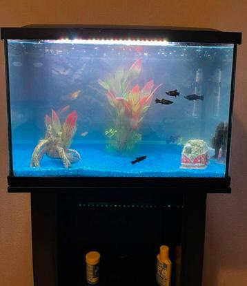 Superfish 70 beschikbaar voor biedingen