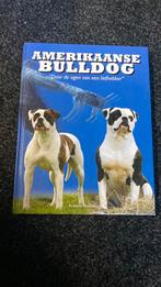 Amerikaanse bulldug, Ophalen of Verzenden, Zo goed als nieuw