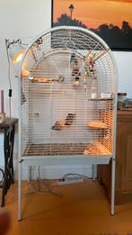 Mooie vogelkooi, Ophalen, Gebruikt, Metaal, Vogelkooi