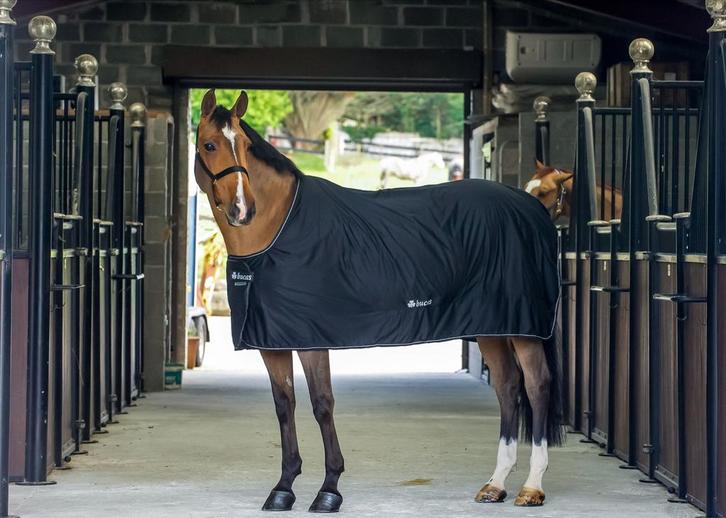 Bucas shamrock power full, Dieren en Toebehoren, Paarden en Pony's | Dekens en Dekjes, Zo goed als nieuw, Ophalen of Verzenden