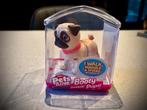 Pet’s alive Booty, franse Bulldog / mopshond, Ophalen of Verzenden, Nieuw, Jongen of Meisje