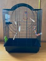 Vogelkooi met accessoires, Dieren en Toebehoren, Vogels | Hokken en Kooien, Ophalen, Zo goed als nieuw, Metaal, Vogelkooi