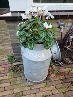 Aluminium Melkbus met Bloemen, Ophalen