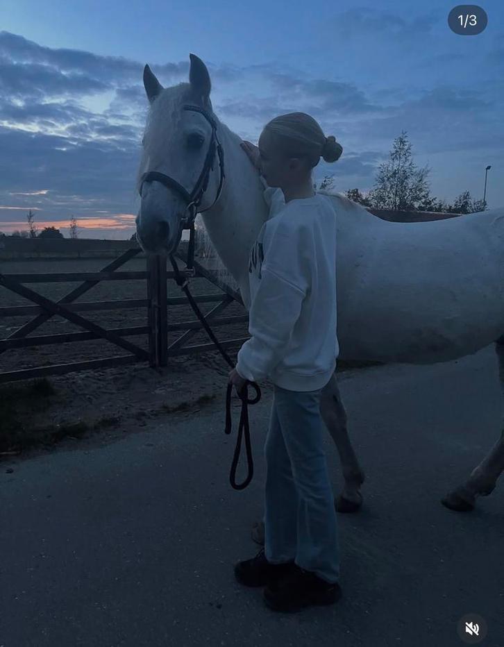Verzorger gezocht, Dieren en Toebehoren, Paarden en Pony's | Verzorgingsproducten, Zo goed als nieuw, Ophalen of Verzenden
