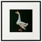 Giclée Print van Amarins Lyklema - Gans met Metalen Lijst, Antiek en Kunst, Verzenden