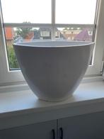 woonaccessoire, Huis en Inrichting, Woonaccessoires | Vazen, Overige kleuren, Ophalen of Verzenden, Minder dan 50 cm, Glas