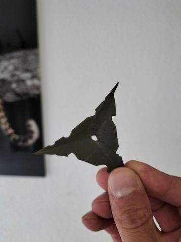 WO2 Kraaienpoot  beschikbaar voor biedingen
