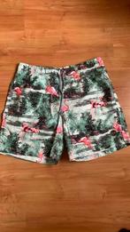 Zwemshort Shiwi maat m, Kleding | Heren, Badmode en Zwemkleding, Ophalen of Verzenden, Blauw