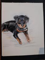 Aquarel uniek, Antiek en Kunst, Ophalen of Verzenden