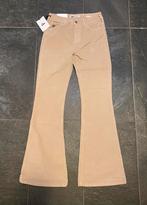 Nieuw: Lois high rise flared micro ribbroek, maat 28x32 😍, Beige, Nieuw, Ophalen of Verzenden, Lois
