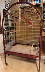 Vogelkooi voor papegaai, Ophalen, Metaal, Vogelkooi