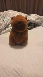 Super leuke capybara knuffel met bloem, Ophalen of Verzenden, Nieuw