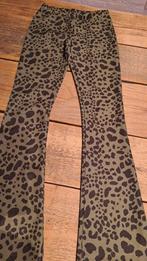 panter print flared broek carnaval maat 158-164, Ophalen of Verzenden, Zo goed als nieuw, 158 t/m 164, Jongen of Meisje