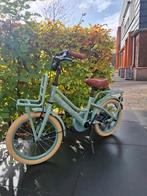 Leuke mintgroene kinderfiets 16inch, Fietsen en Brommers, Fietsen | Kinderfietsjes, Ophalen of Verzenden, Gebruikt, 16 tot 20 inch