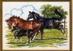 BORDUURPATROON EVA ROSENSTAND PAARDEN MET VEULEN, Verzenden, Zo goed als nieuw, Patroon