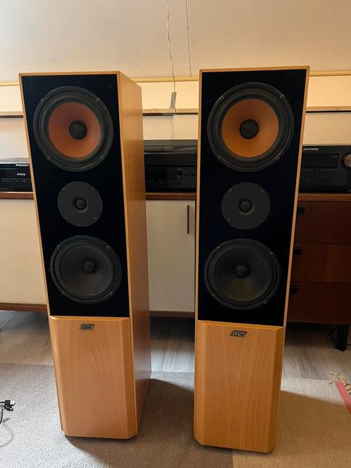 Asw sonus 120L staande speakers, Audio, Tv en Foto, Luidsprekers, Gebruikt, Front, Rear of Stereo speakers, 120 watt of meer, Overige merken