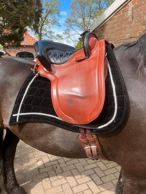 Marjoman Potrera Royal Spaans/Barokke zadel 18 inch, Dieren en Toebehoren, Paarden en Pony's | Zadels, Zo goed als nieuw, Dressuur