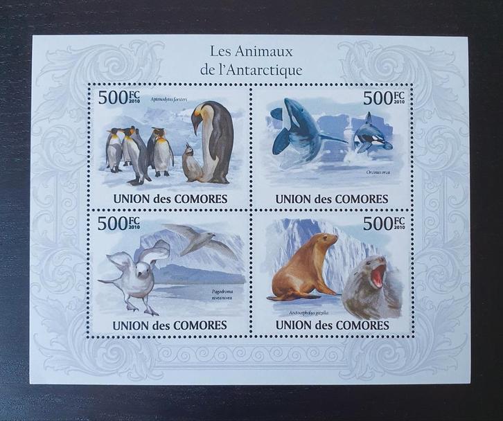Comoren 2009 Pinguin Orka Vogel Michel 2712-2715 postfris, Postzegels en Munten, Postzegels | Thematische zegels, Postfris, Dier of Natuur