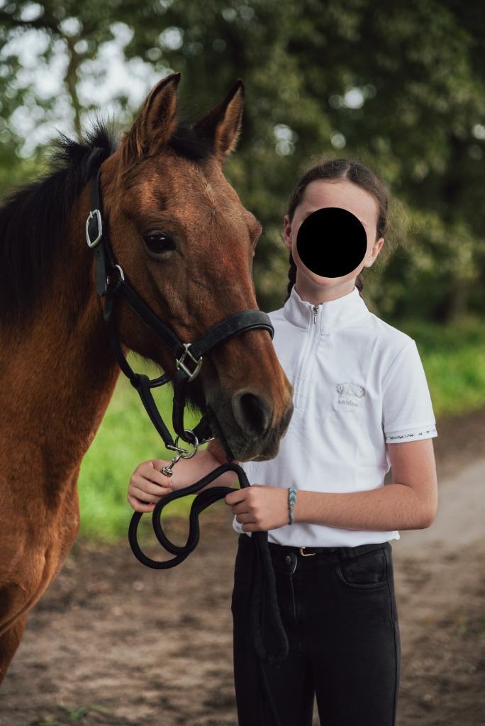 Lieve C-pony ~ Kafejka ~ 29 jaar, Dieren en Toebehoren, Pony's, Merrie, L, C pony (1.27m tot 1.37m), Recreatiepony, 11 jaar of ouder