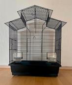 Vogel kooi, Dieren en Toebehoren, Vogels | Hokken en Kooien, Ophalen of Verzenden, Zo goed als nieuw, Hout, Vogelkooi