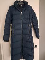 Donkerblauwe winterjas Tommy Hilfiger maat S, Ophalen, Zo goed als nieuw, Maat 36 (S), Blauw