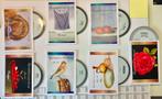 Verschillende DVD's fijnschilderen door Suzan te Wildt, Verzenden, Zo goed als nieuw, Tekenen en Schilderen