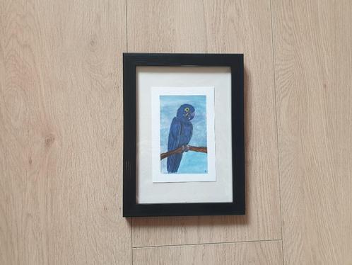 Originele aquarel ara papegaai ingelijst kunstwerk (13x18cm), Huis en Inrichting, Woonaccessoires | Schilderijen, Tekeningen en Foto's