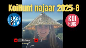 Japanse koi  beschikbaar voor biedingen