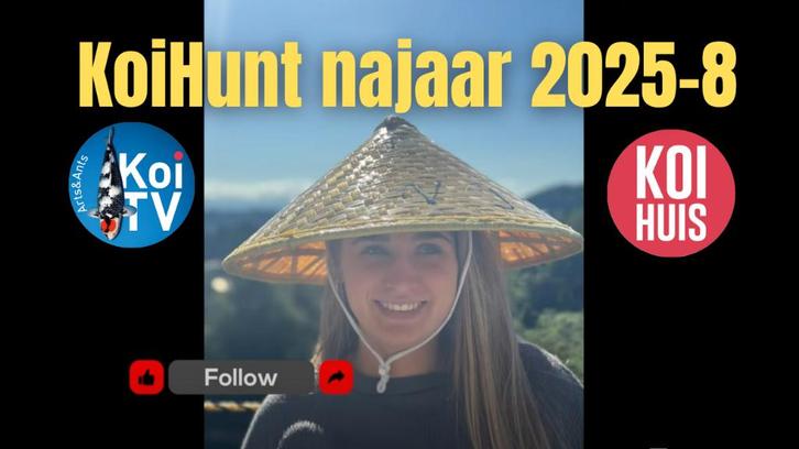 Japanse koi, Dieren en Toebehoren, Vissen | Vijvervissen, Karper of Koi