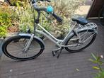 Moederfiets cortina roots, Fietsen en Brommers, Ophalen, Gebruikt, Overige merken