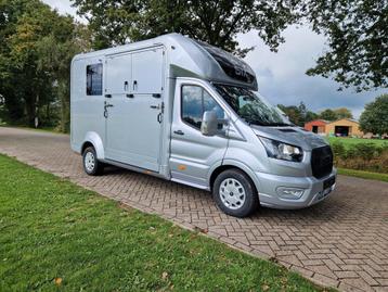 Ford Transit STX automaat paardenwagen hengsten uitvoering beschikbaar voor biedingen