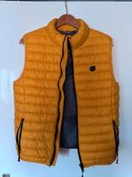 Jean Pascale Heren Bodywarmer Maat M, Kleding | Heren, Maat 48/50 (M), Geel, Ophalen of Verzenden, Zo goed als nieuw