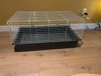 Te koop: Caviakooi, Dieren en Toebehoren, Kooi, Zo goed als nieuw, 75 tot 110 cm, Ophalen