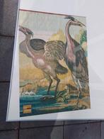 Poster van Het Rijksmuseum, Antiek en Kunst, Ophalen of Verzenden