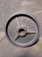 Gietijzeren Halterschijven 2x10kg, Sport en Fitness, Fitnessmaterialen, Ophalen, Zo goed als nieuw, Benen, Halterschijven