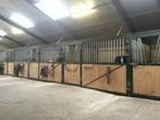 2 plekjes vrij, Dieren en Toebehoren, Stalling en Weidegang