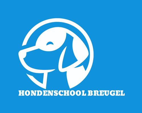 Puppy cursus - Hondenschool Breugel, Diensten en Vakmensen, Dieren | Honden | Verzorging, Oppas en Les, Training of Cursus